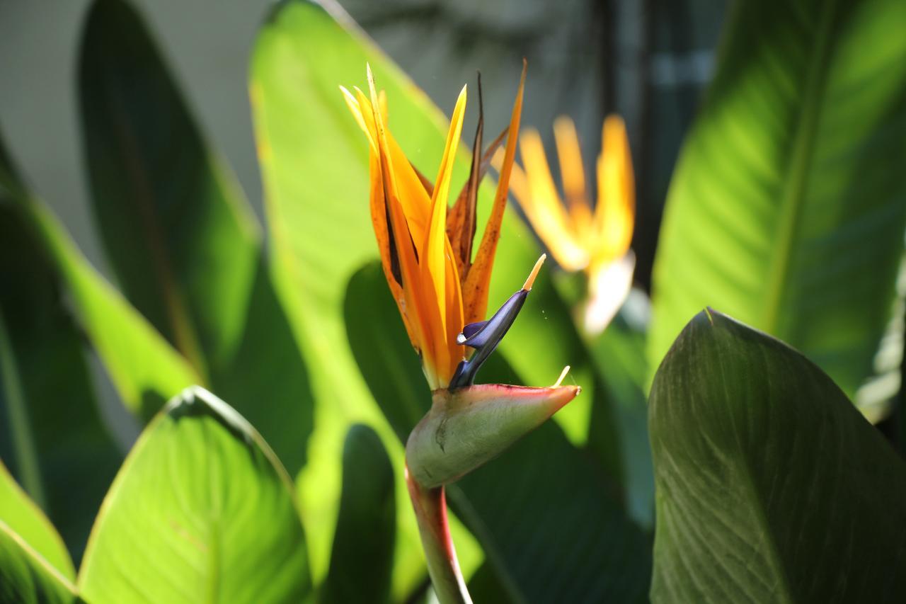 Pouso Dos Anjos Hotel ลิสบอน ภายนอก รูปภาพ